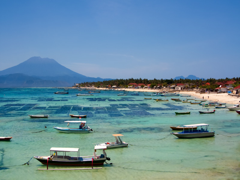 Bali Escape