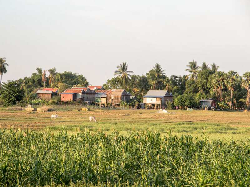 Cambogia – Viaggio all'avventura dalla Capitale fino ad Angkor Wat (con guida in inglese), foto 3