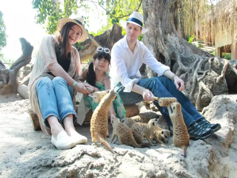 Bali Safari Park - Jungle Hopper, foto 3