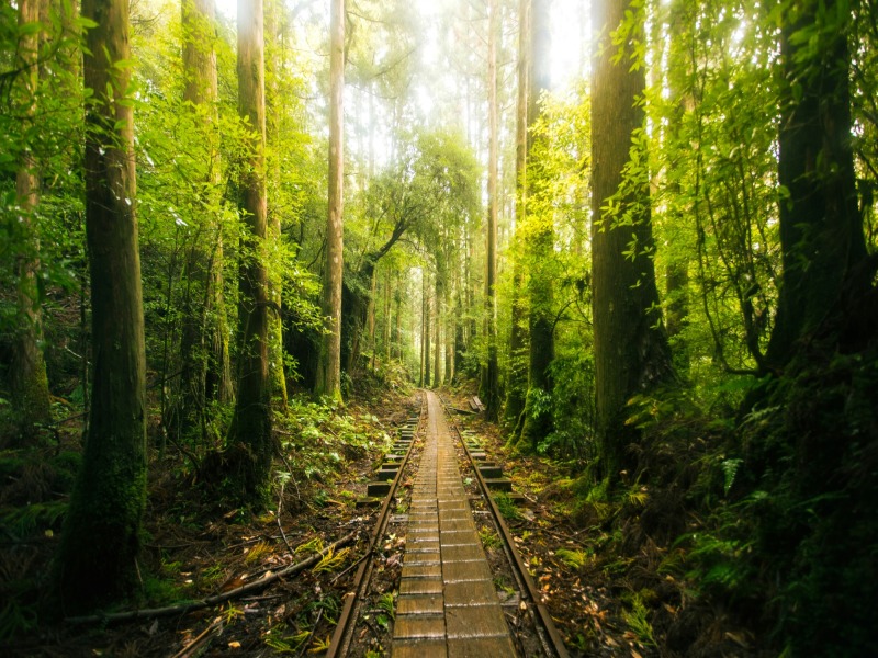 Fukuoka