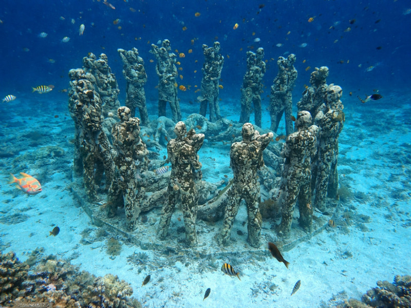 Natural Aquarium Tour (3 Gili Islands) - Pranzo incluso, foto 3
