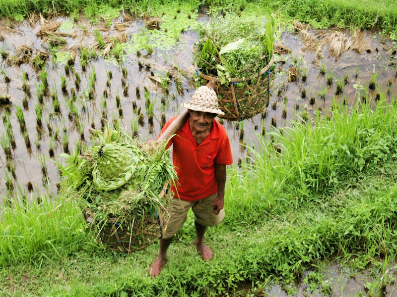 Luxury Bali, foto 6
