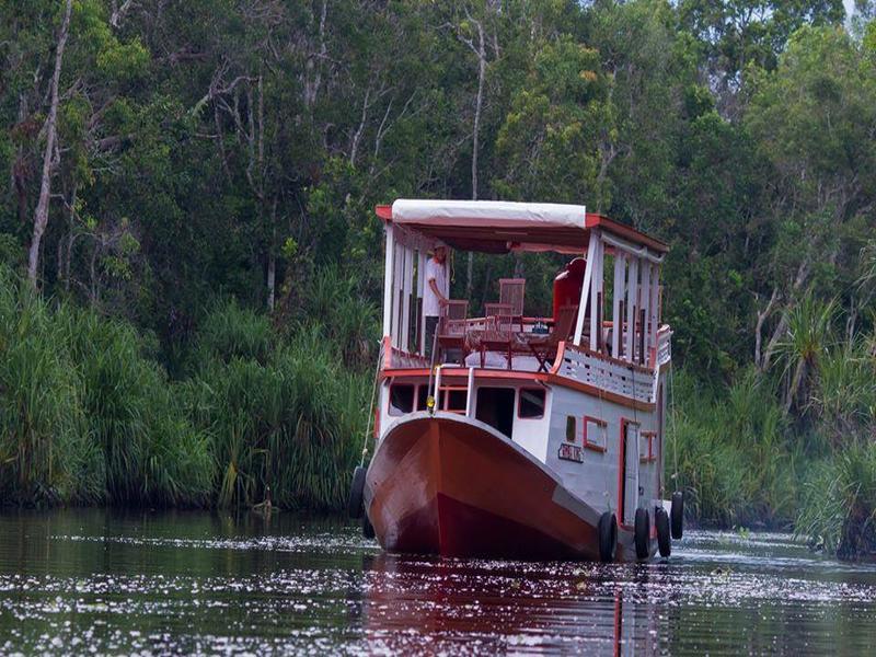 Orang Utan Adventure Tanjung Puting, foto 3