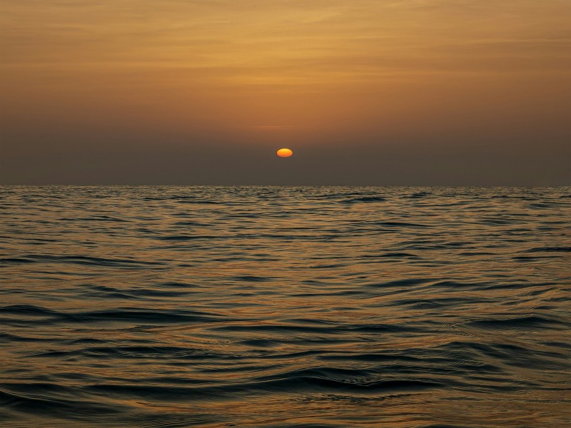 Tesori Dell'Oman E Degli Emirati, foto 8