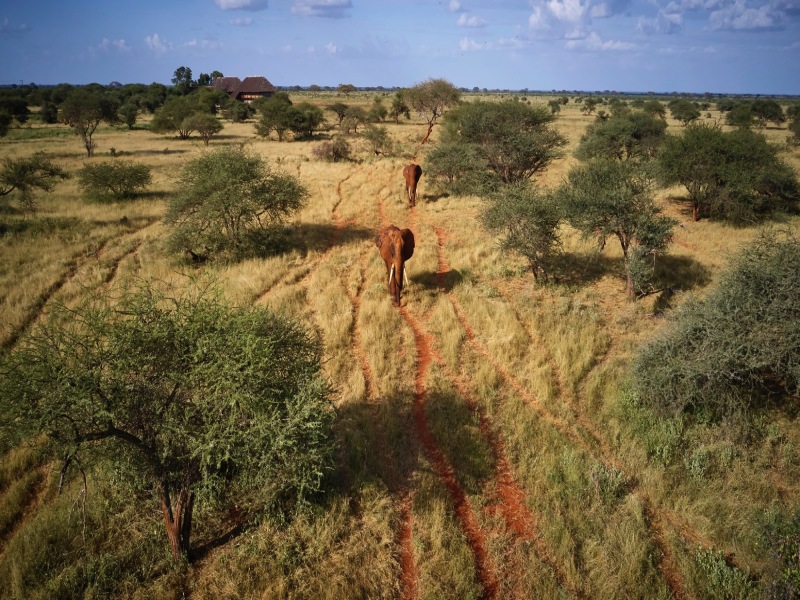 Da Amboseli alla spiaggia di Watamu, foto 3