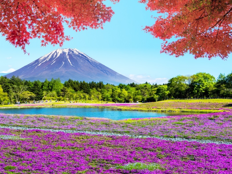 Tour Individuale : Luoghi iconici e Monte Fuji en 3*, foto 2