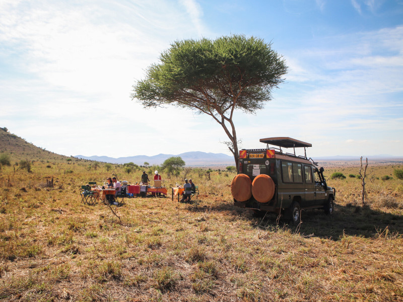 Da Masai Mara Amboseli Tsavo Alla Spiaggia Di Watamu, foto 7