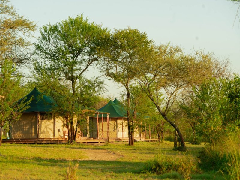 Wild Tanzania EXPERIENCE, foto 2