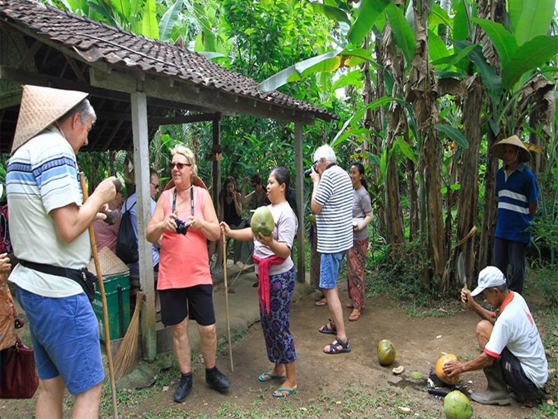 Bali Local Farming Tour (Pranzo Incluso), foto 3
