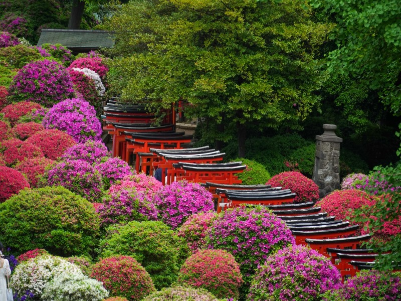 Tokyo