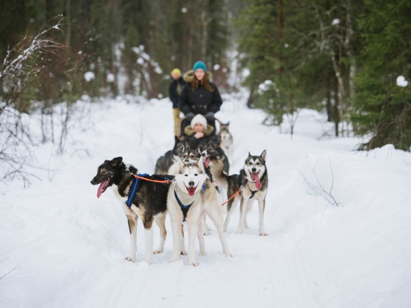 Rovaniemi Evasione d'inverno, foto 7
