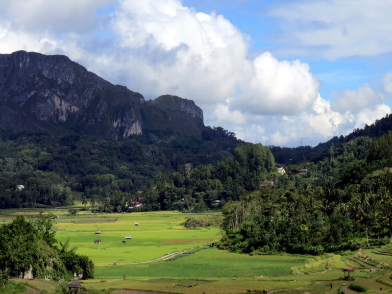 Toraja Package, foto 9