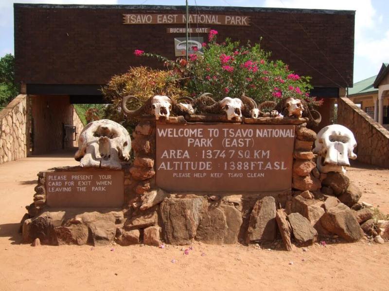 5 Giorni da Watamu ad Amboseli e Taita Hills in Jeep 4x4 Privata