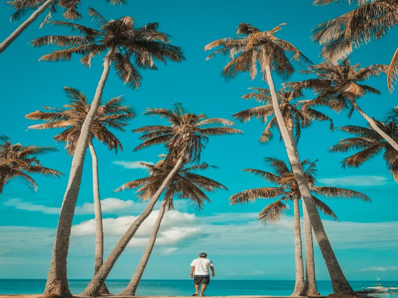Cebu, Bohol, Dumaguete e Siquijor - 3 stelle, foto 7