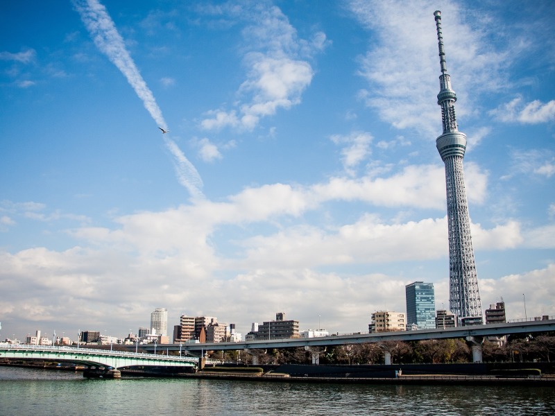 Soggiorno a Tokyo 3*, foto 4