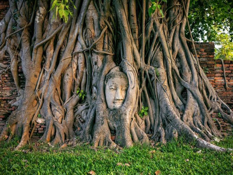 Thailandia in modo attivo: da Bangkok a Chiang Mai, foto 4
