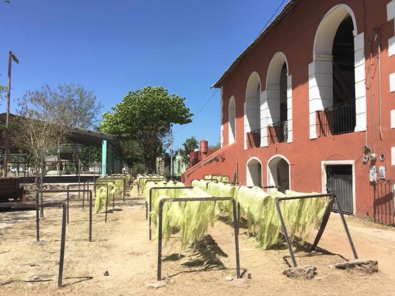 Lo Yucatan tra le haciendas, foto 4